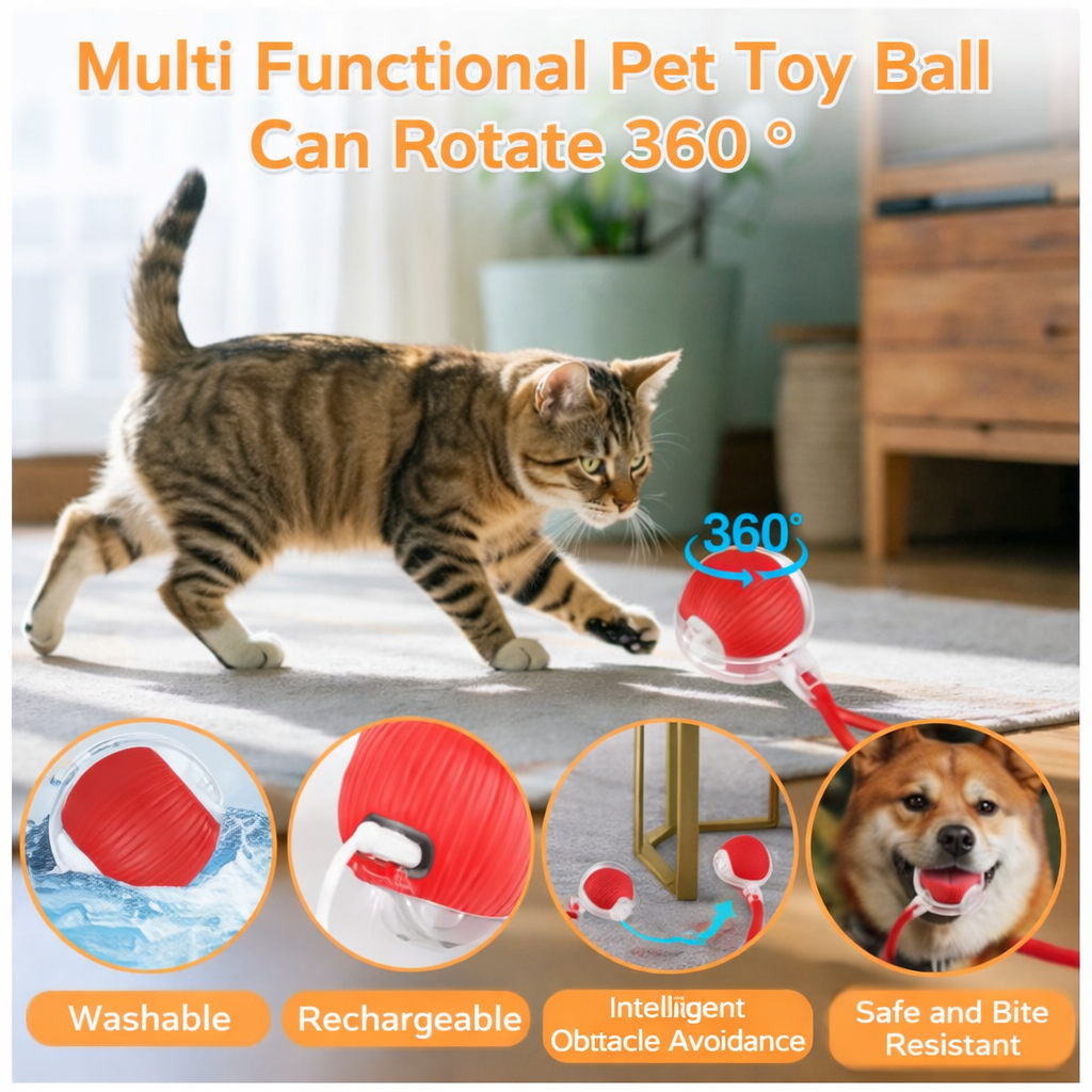 Interactive Feather Wand – Cat Play Toy