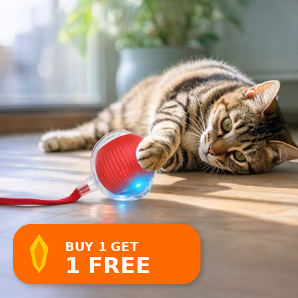 Feather Wand – Cat Play Toy