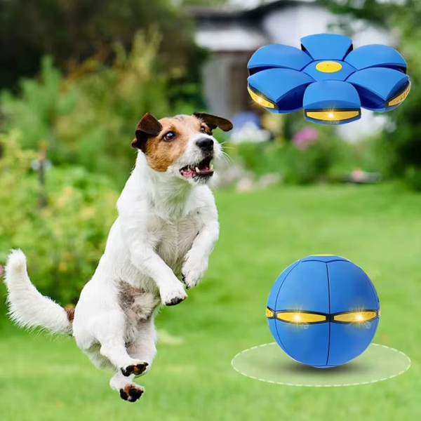 SkyBounce™ Interactive Flying Dog Toy