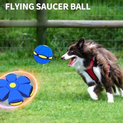 SkyBounce™ Interactive Flying Dog Toy