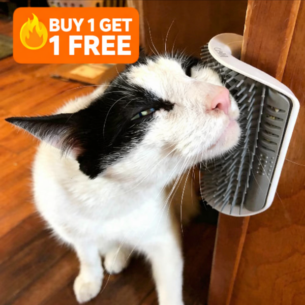 Self-Grooming Cat Wall Brush | PetLuxeon UK