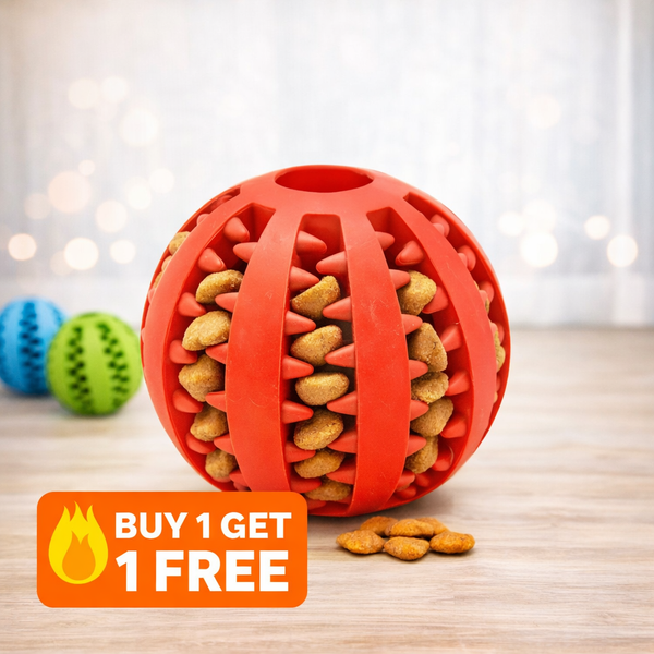 Treat-Dispensing Ball – Interactive Snack Toy 🐾