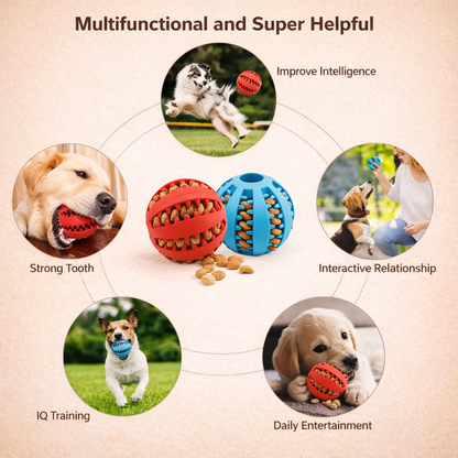 Treat-Dispensing Ball – Interactive Snack Toy 🐾