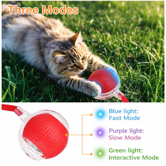 Interactive Feather Wand – Cat Play Toy