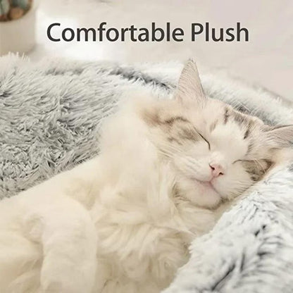 2-in-1 Foldable Cat Tunnel & Bed (Ultra-Soft Plush)