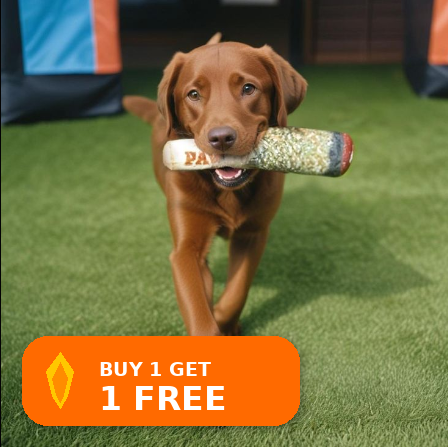 Soft Squeaky Chew Toy for Dogs 🐶🧸