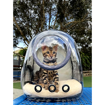 Cat Carrier Backpack – Transparent Space Capsule 🐱🎒