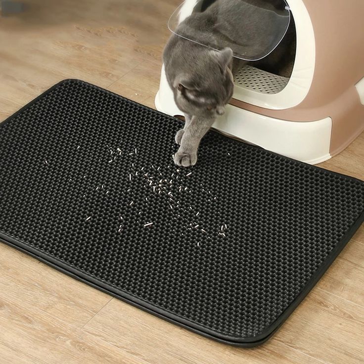 Cat Litter Trapping Mat – Anti-Scatter & Easy Clean