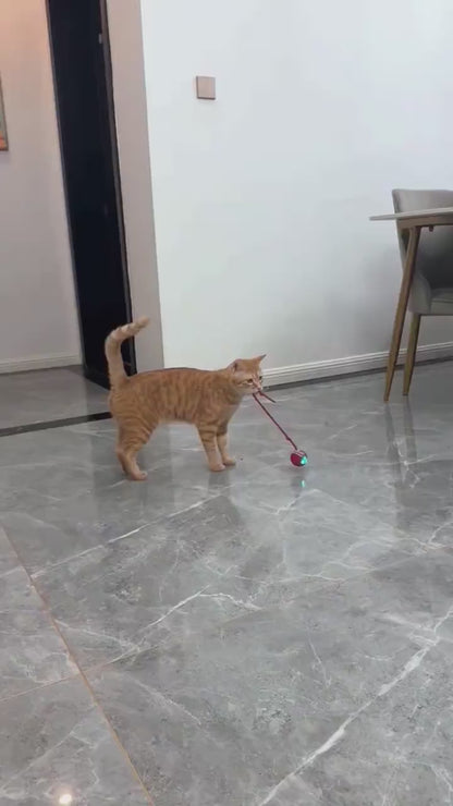 Feather Wand – Cat Play Toy
