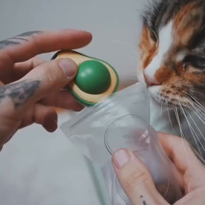 Catnip Calming Toy – Stress & Anxiety Relief for Cats