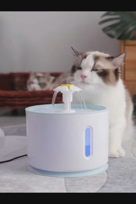 Cat Water Fountain – USB Automatic Drinking Fountain